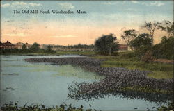 The Old Mill Pond Winchendon, MA Postcard Postcard Postcard