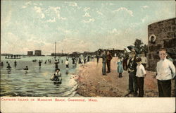 Captains Island or Magazine Beach Cambridge, MA Postcard Postcard Postcard