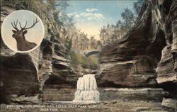 Rotunda and Bridal Veil Falls, Deer Park Glen Illinois Postcard Postcard Postcard