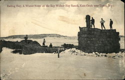 Bailing Hay, A Winter Scene on the Roy Widner Hay Ranch Postcard