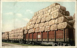 Train Loads of Cotton For Export Postcard