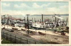 The Levee from the Bluff Memphis, TN Postcard Postcard Postcard