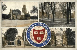 Harvard University Postcard