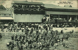 Highland Bathing Beach Oak Bluffs, MA Postcard Postcard Postcard