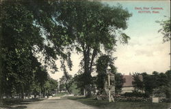 Road, near Common Postcard