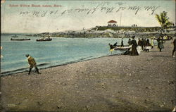 Salem Willow Beach Postcard