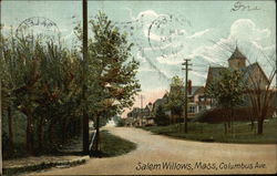 Salem Willows, Mass., Columbus Ave. Postcard