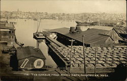 The Harbor from Rocky Neck Gloucester, MA Postcard Postcard Postcard