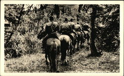 Group of Men Riding Horses in Alaska at McKinley Recreational Camp Postcard Postcard Postcard