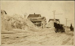 Ice and Snow Storm, Downed Trees - Horse & Carriage Whitney Pier, NS Canada Nova Scotia Postcard Postcard Postcard