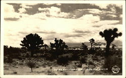 Desert Clouds, California Postcard