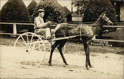 Elk-Drawn Trotter Cart at Bill Meyer's Park Postcard Postcard Postcard