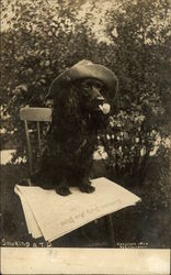 "Smoking" - Black Dog Sitting on Chair & Smoking a Pipe Dogs Postcard Postcard Postcard