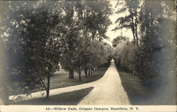 Willow Path, Colgate Campus Hamilton, NY Postcard Postcard Postcard