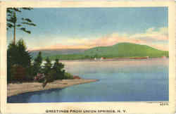 Greetings From Union Springs New York Postcard Postcard