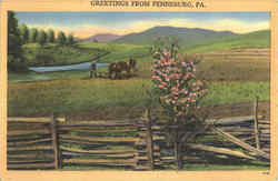 Greetings From Pennsburg Pennsylvania Postcard Postcard