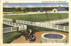 Blue Grass Stock Farm Louisville, KY Postcard Postcard