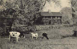 Old Abbot Homestead Postcard