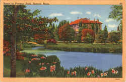 Scene In Fenway Park Postcard