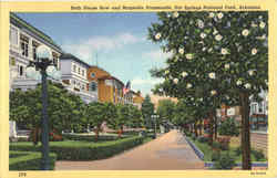 Bath House Row And Magnolia Promenade, Hot Springs National Park Postcard Postcard