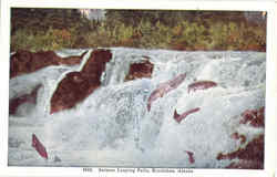 Salmon Leaping Falls Postcard