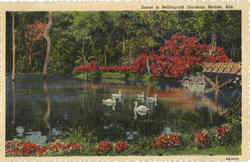 Scene In Bellingrath Gardens Mobile, AL Postcard Postcard