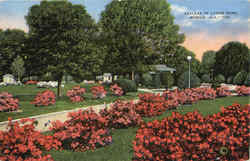 Azaleas In Lyons Park Mobile, AL Postcard Postcard