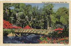 Scene In Bellingrath Gardens Postcard