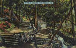 Scene In Pendora Park Postcard