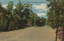 Beautiful Drive On Presque Isle Peninsula Erie, PA Postcard Postcard