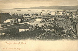 Panramic view of Tanger Morocco Africa Postcard Postcard