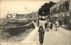 Looking Towards the Temple Postcard