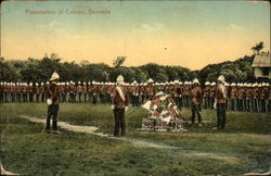 Presentation of Colours Postcard