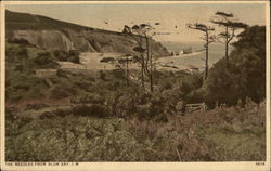 The Needles from Alum Bay Isle of Wight, England Postcard Postcard