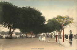 Esplanade Scene Postcard