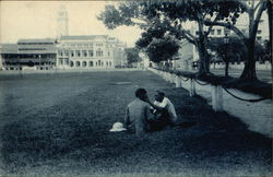 Fruit Market Esplanade Postcard