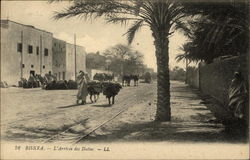 L'Arivèe Des Dalles Postcard