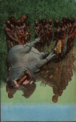 Natives Hauling a Hippo Kill Ashore Postcard Postcard