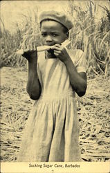 Girl Sucking Sugar Cane Barbados Caribbean Islands Postcard Postcard