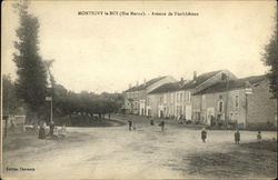 Avenue de Nuefchateau Postcard