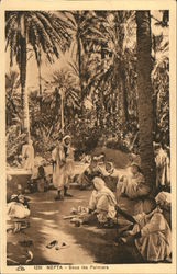 Sous les Palmiers Nefta, Tunisia Africa Postcard Postcard