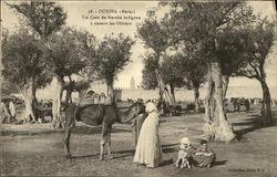 Un coin du marchè indigiène à travers les oliviers Morocco Africa Postcard Postcard