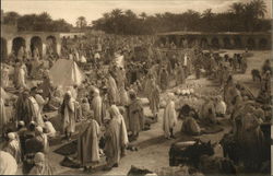 Scenes Algériennes: Un Marché De Tougourt Postcard