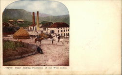 Typical Sugar Making Plantation of the West Indies Caribbean Islands Postcard Postcard