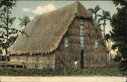 Tobacco Barn Cuba Postcard Postcard