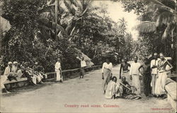 Country Road Postcard