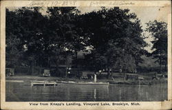 View from Knapp's Landing, Vineyard Lake Postcard