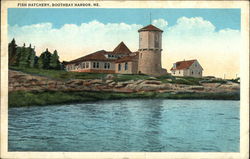 Water View of Fish Hatchery Postcard