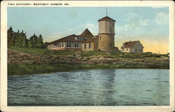 Water View of Fish Hatchery Postcard