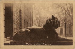 "Princeton Tiger" New Jersey Postcard Postcard Postcard